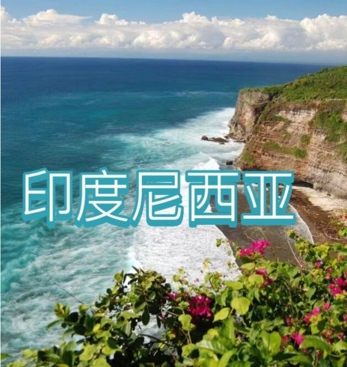 国国际电商(印尼)产业博览会pg模拟器电脑版2025中